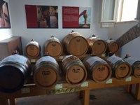 Visita guidata dell'Acetaia Comunale di Modena