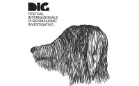 DIG Festival