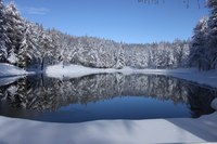 Cosa fare a Modena in inverno