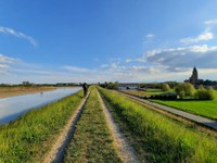 Bike tour on the Via Romea Germanica Imperiale - Journey through Flavors, Panoramas, and Traditions -