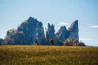 Sul Cammino dell'Unione con Cammin Sentendo