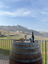 Trekking e Wine Experience