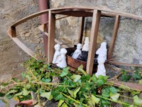 Trekking: Segui la stella- Modena Slow