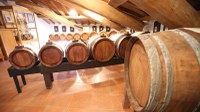 Visit of the Municipal Vinegar Cellar of Carpi