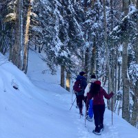 Ciaspolata: Passo del Lupo - Modena Slow