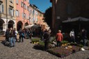 Modena Meanders (Italy): Live La Lazy Dolce Vita by BEN HOLBROOK