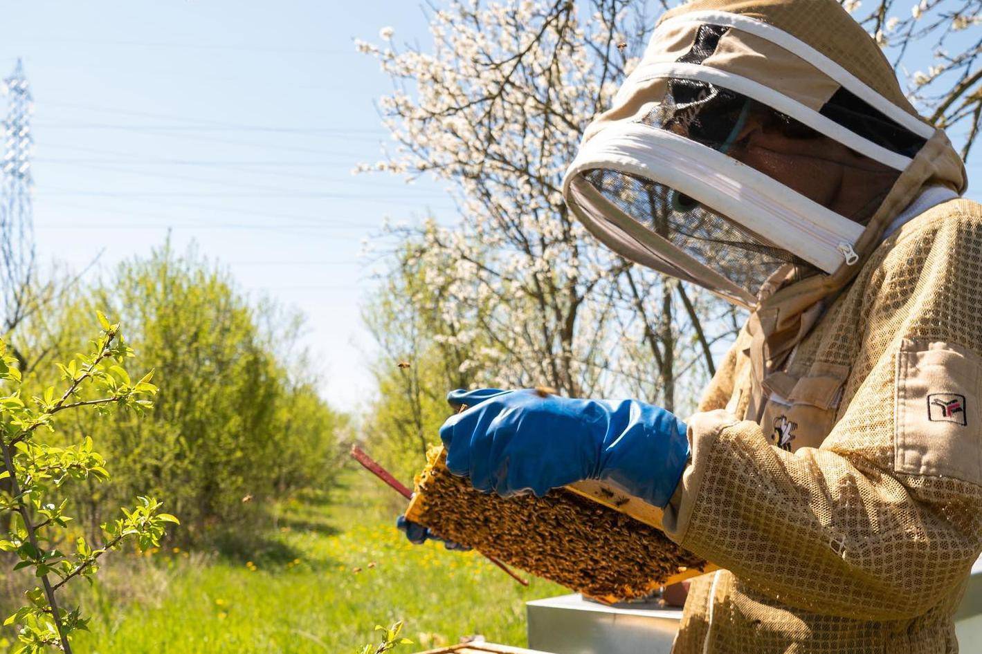 Artisanal honey and authentic products - Tasty Weekends Special