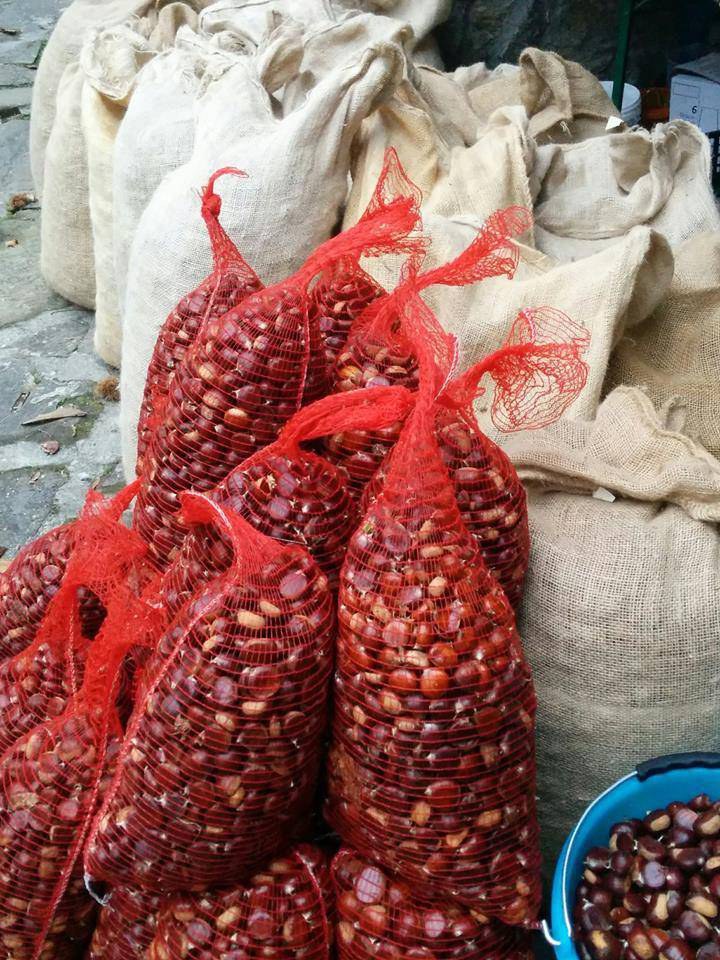 Discovering chestnuts: from gathering to tasting - Tasty weekends special