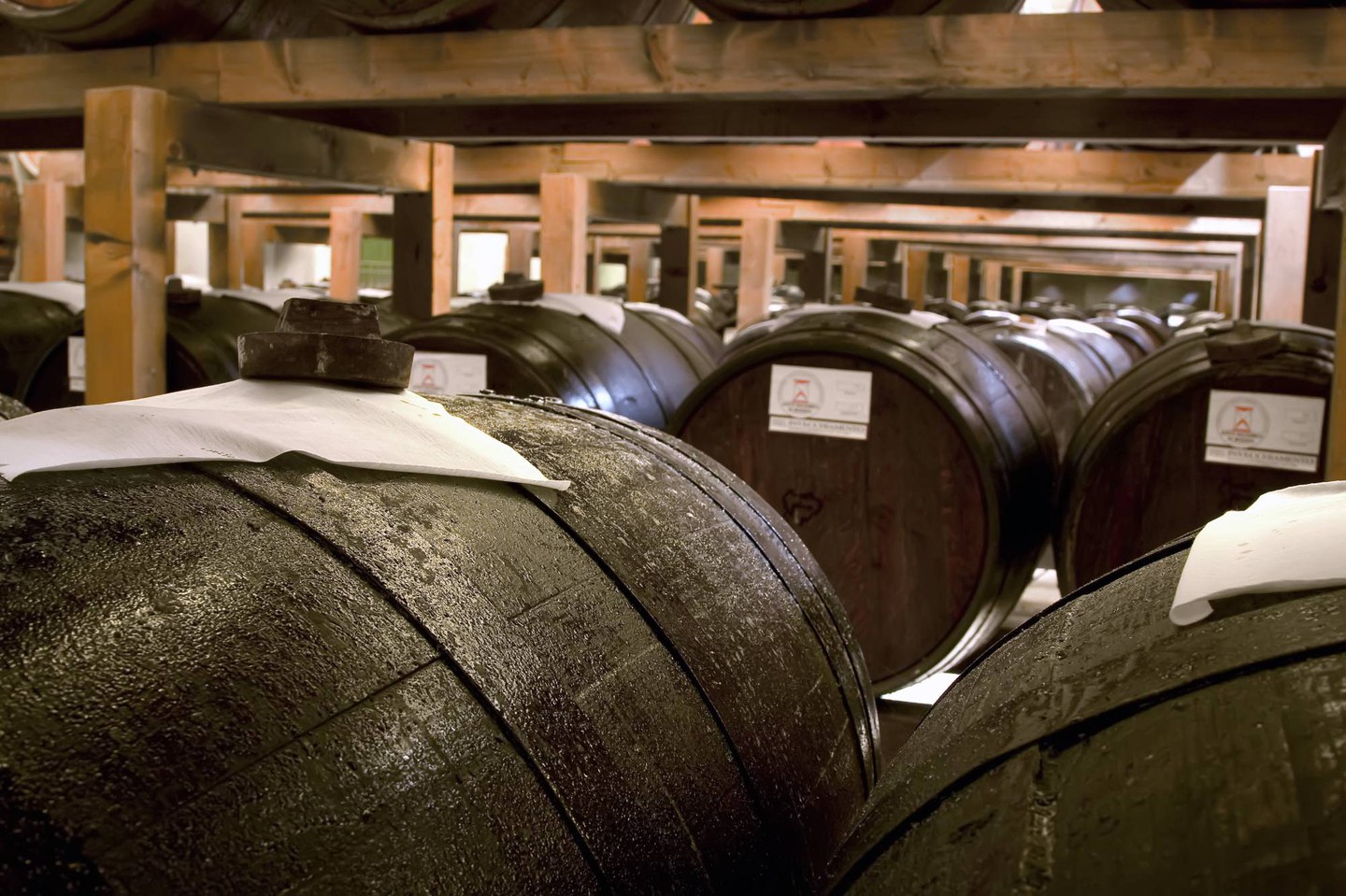 Segreti in Botte – The Art of Modena Balsamic Vinegar