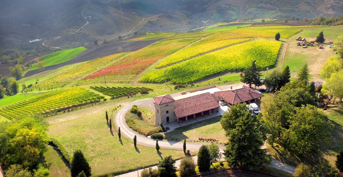 Wine experience: immerse yourself in the tranquility of the Bologna hills - Tasty Weekends Special