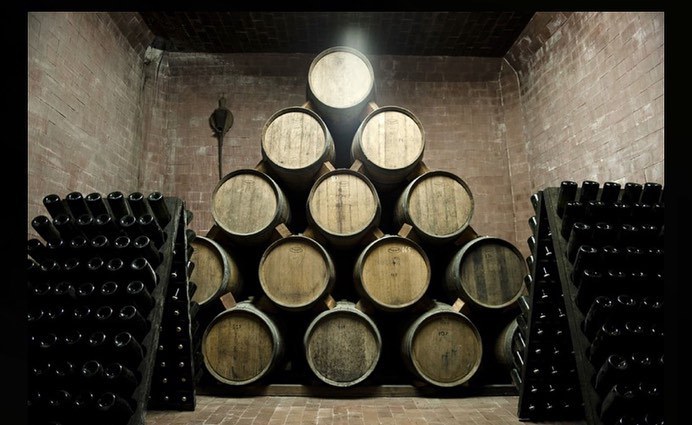 cantine aperte at Cantina Gavioli