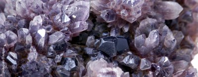 Gemma 1786. Estense Mineralogical and Geological Museum