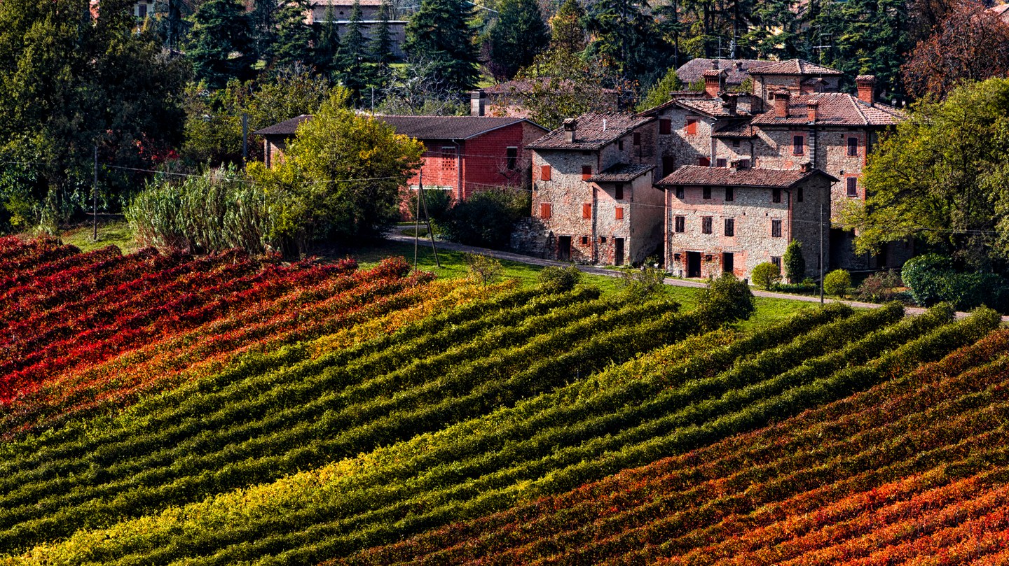 Autumn is the season of foliage: the trees around us change their leaves and the views along city streets are astonishing.