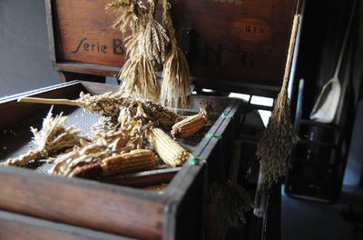 Museo della civiltà contadina a Bastiglia (Museum of rural culture)