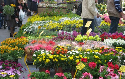 Modena in Fiore