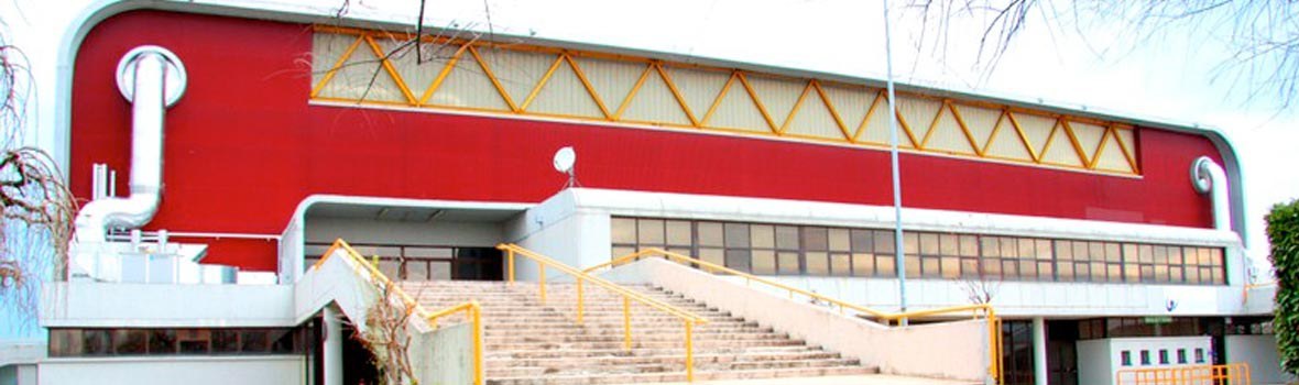 Municipal stadium Alberto Braglia