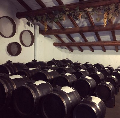 Villa San Donnino - foto 8.JPG