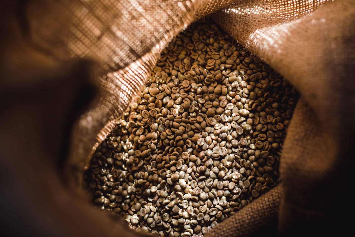 Dal chicco alla tazza