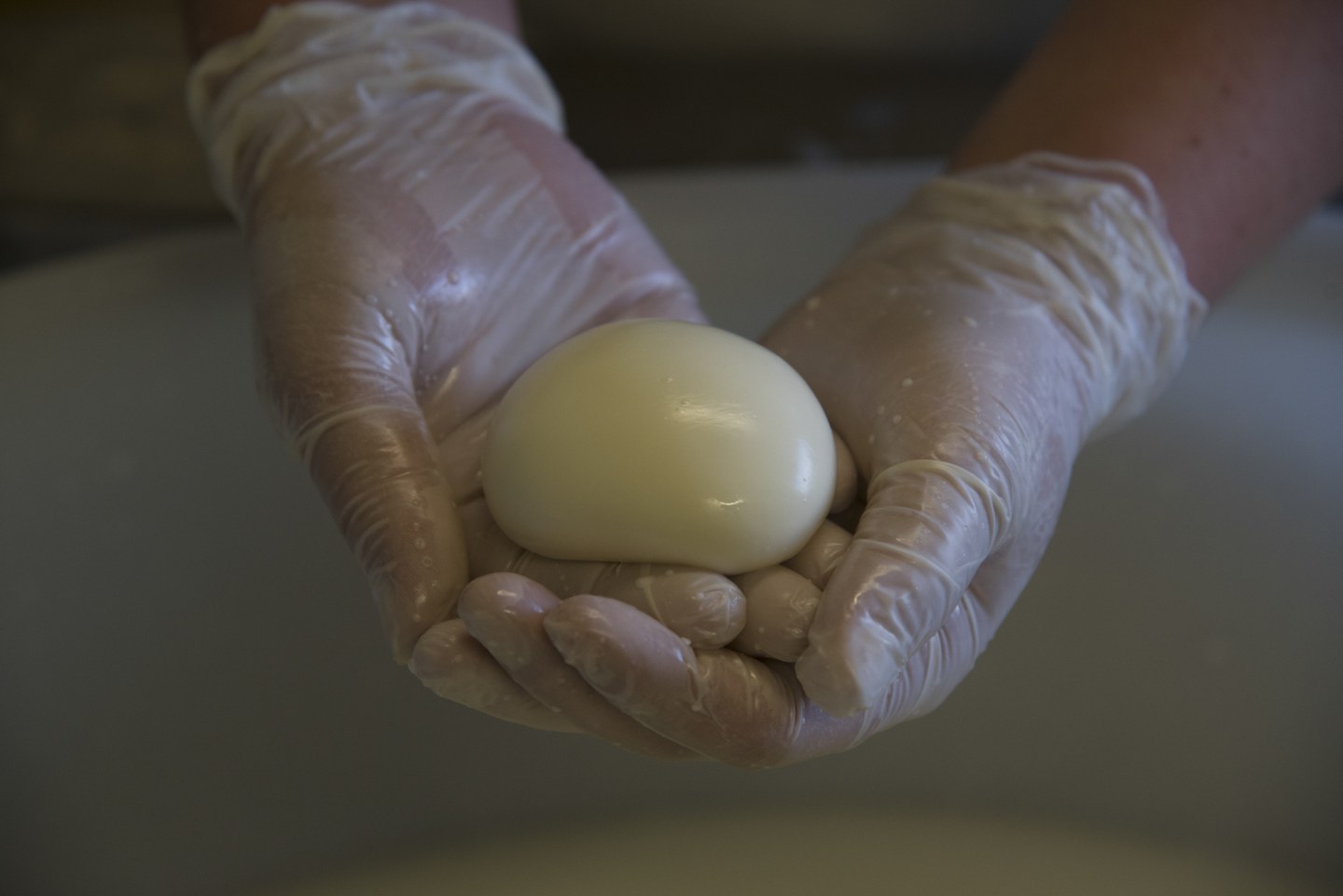 I prodotti del latte