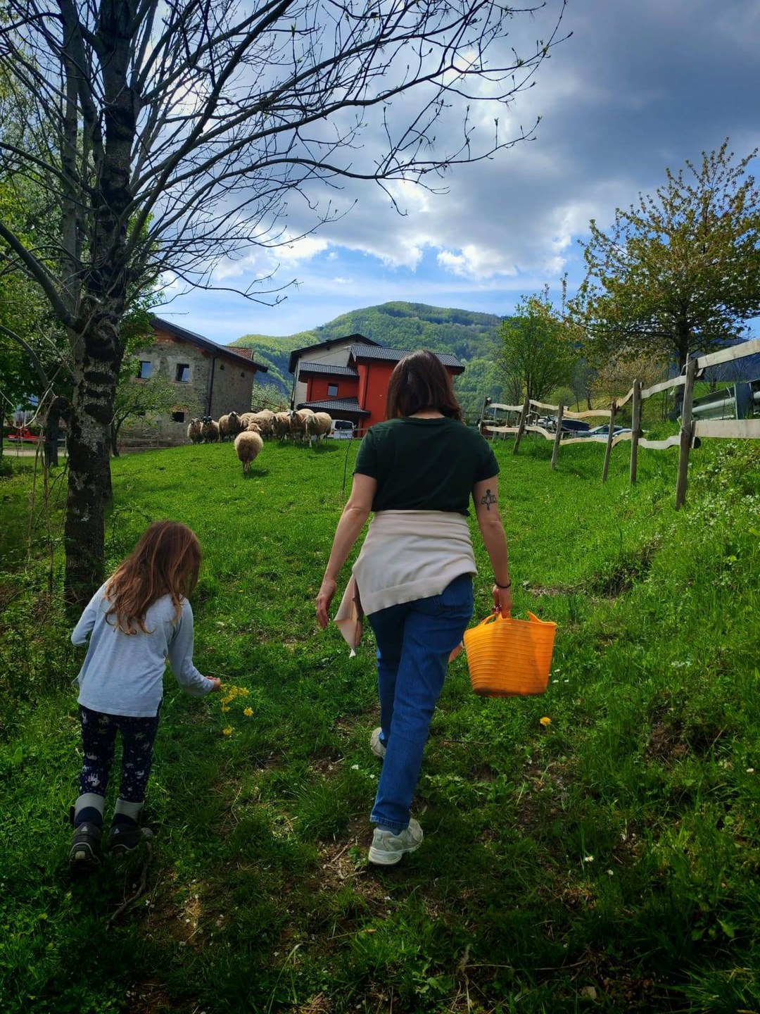 A spasso con il gregge - Modena Slow