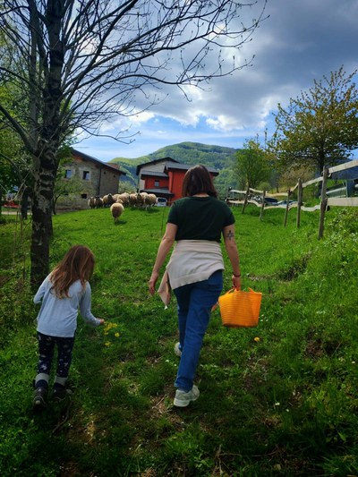 A spasso con il gregge - Modena Slow
