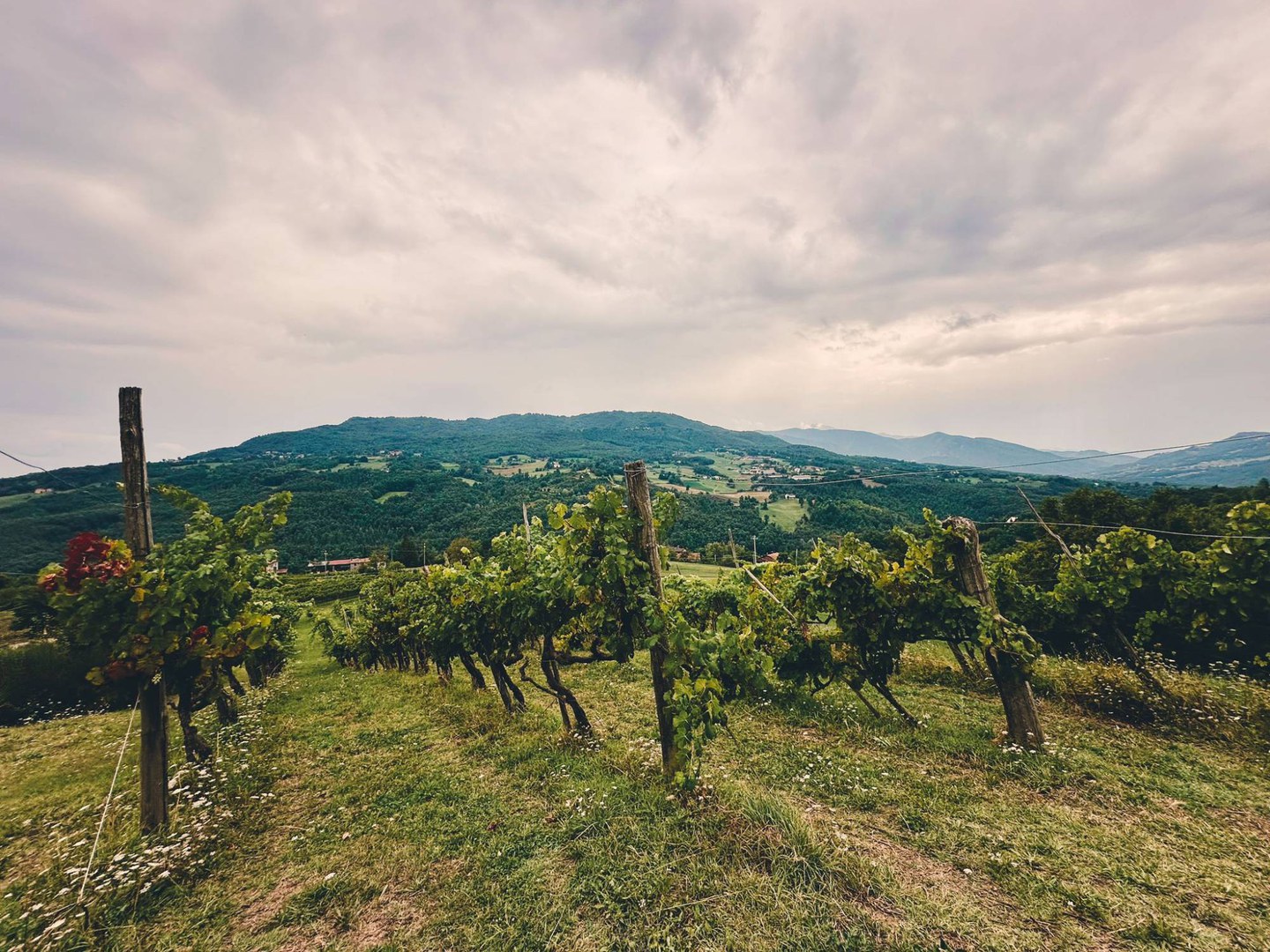Appuntamento in Cantina: degustazione alla Cantina Versante - Cimone Slow
