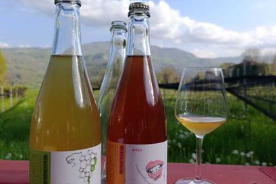 Appuntamento in Cantina: degustazione alla Cantina Versante Cimone Slow