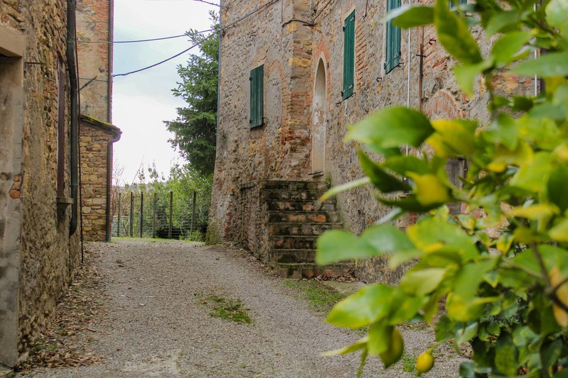 Image Gallery 1