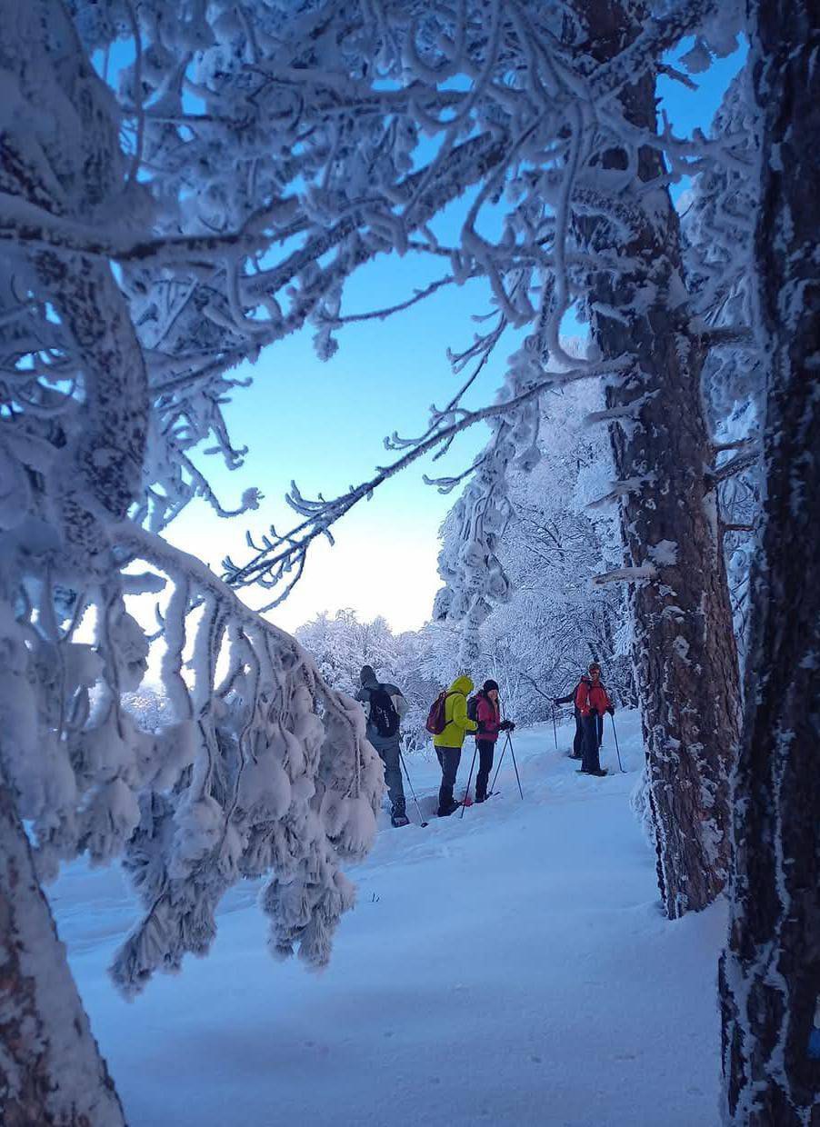 Ciaspolata dell'Epifania Modena Slow