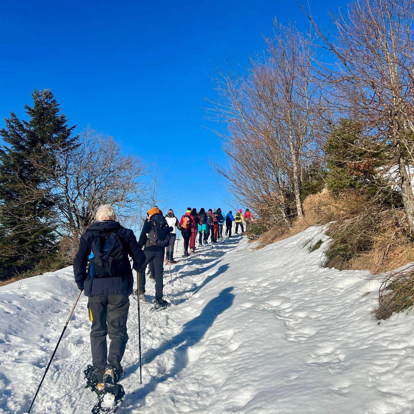 Ciaspolata: Duello al Far West - Modena Slow