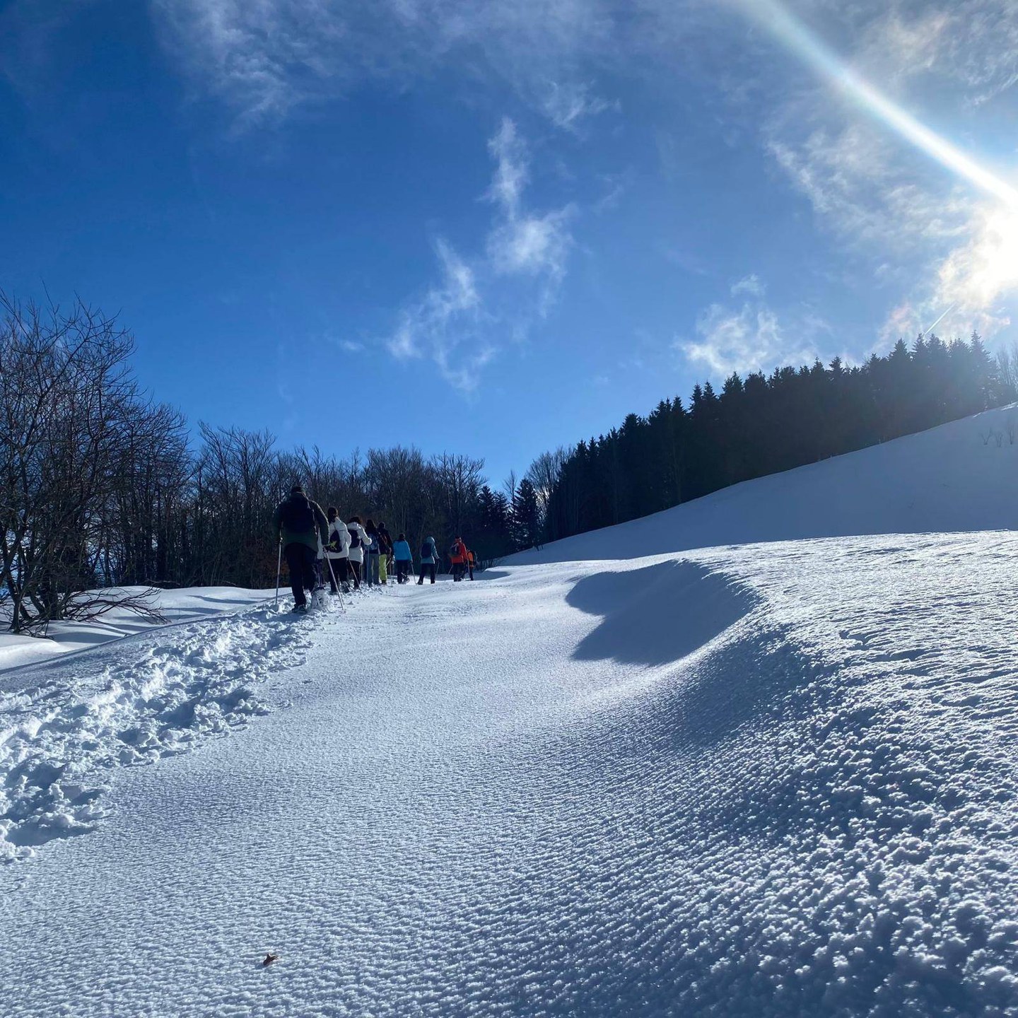 Ciaspolata: Incanto Sulla Neve del Lago della Ninfa - Modena Slow