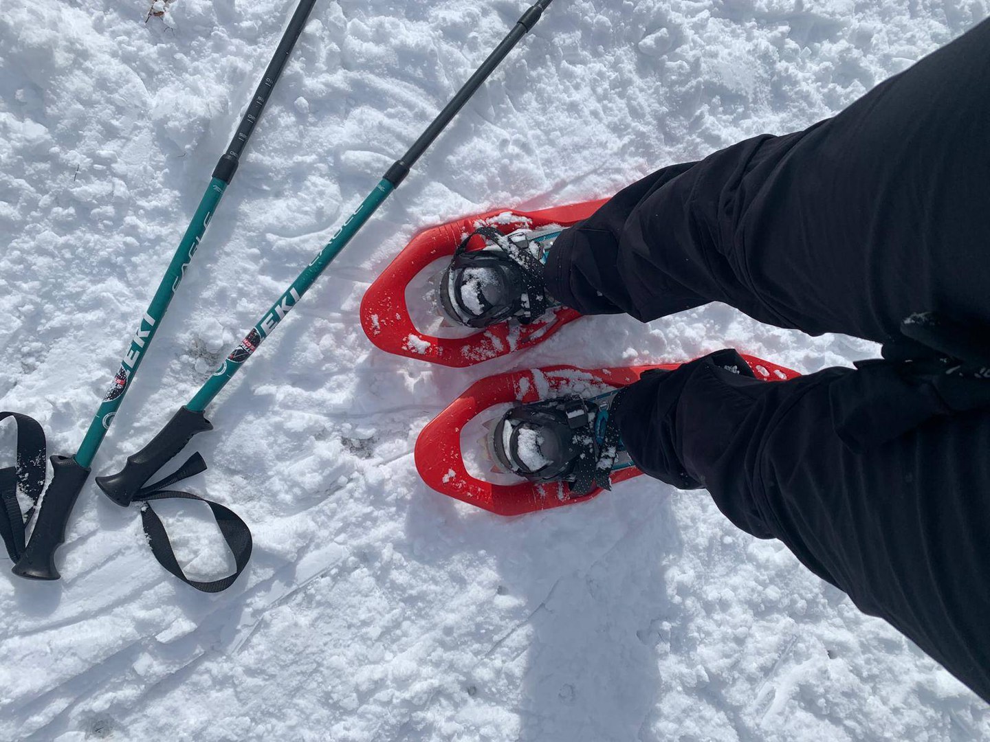 Ciaspolata a Sant'Anna Pelago - Modena Slow