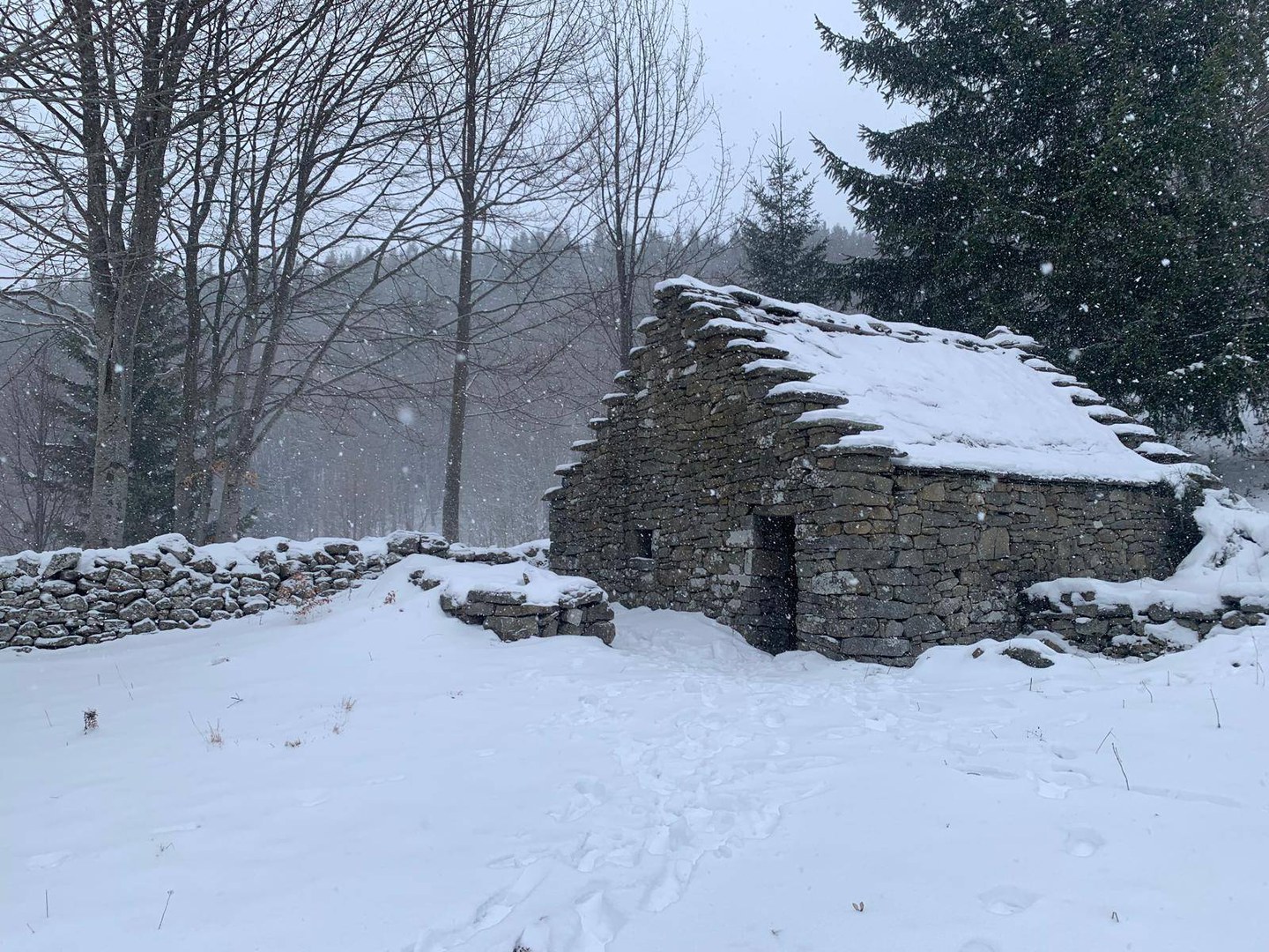 Ciaspolata : La Magia dell'Appennino- Modena Slow