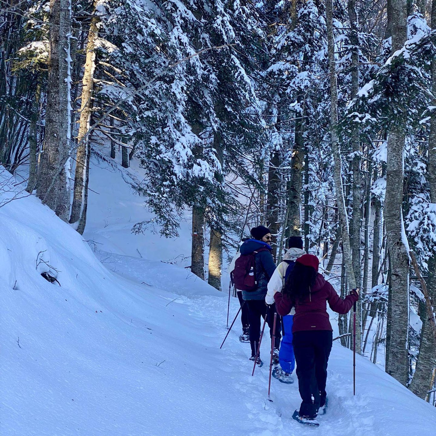 Ciaspolata: Passo del Lupo - Modena Slow