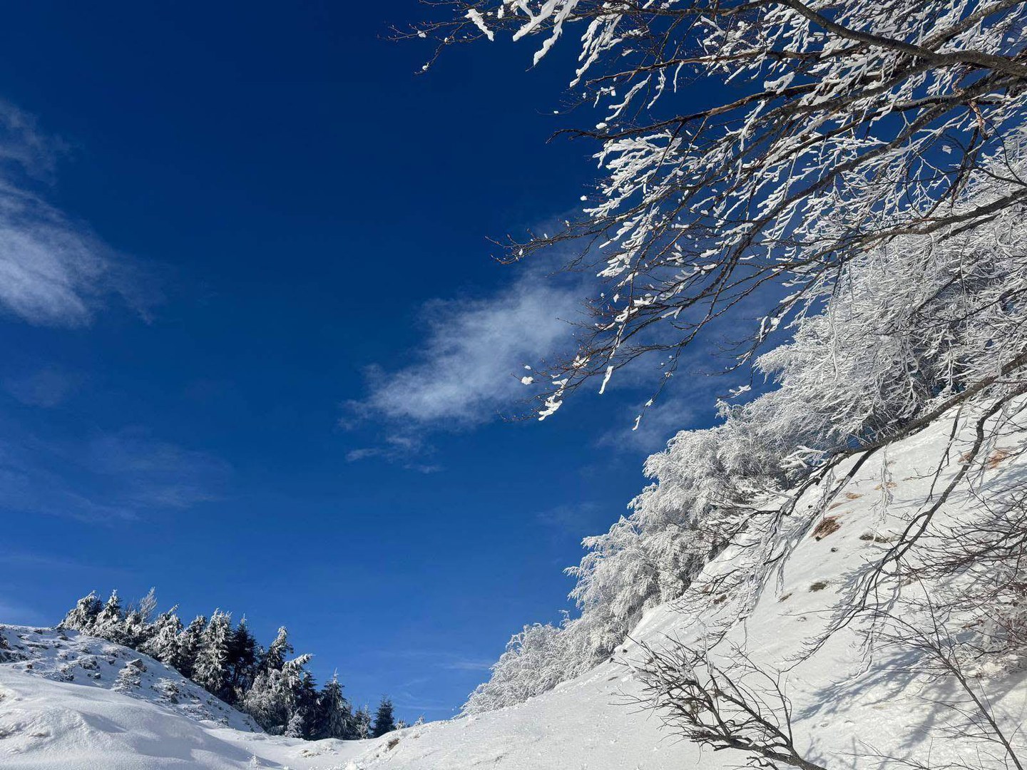 Ciaspolata serale al Monte Cantiere - Modena Slow