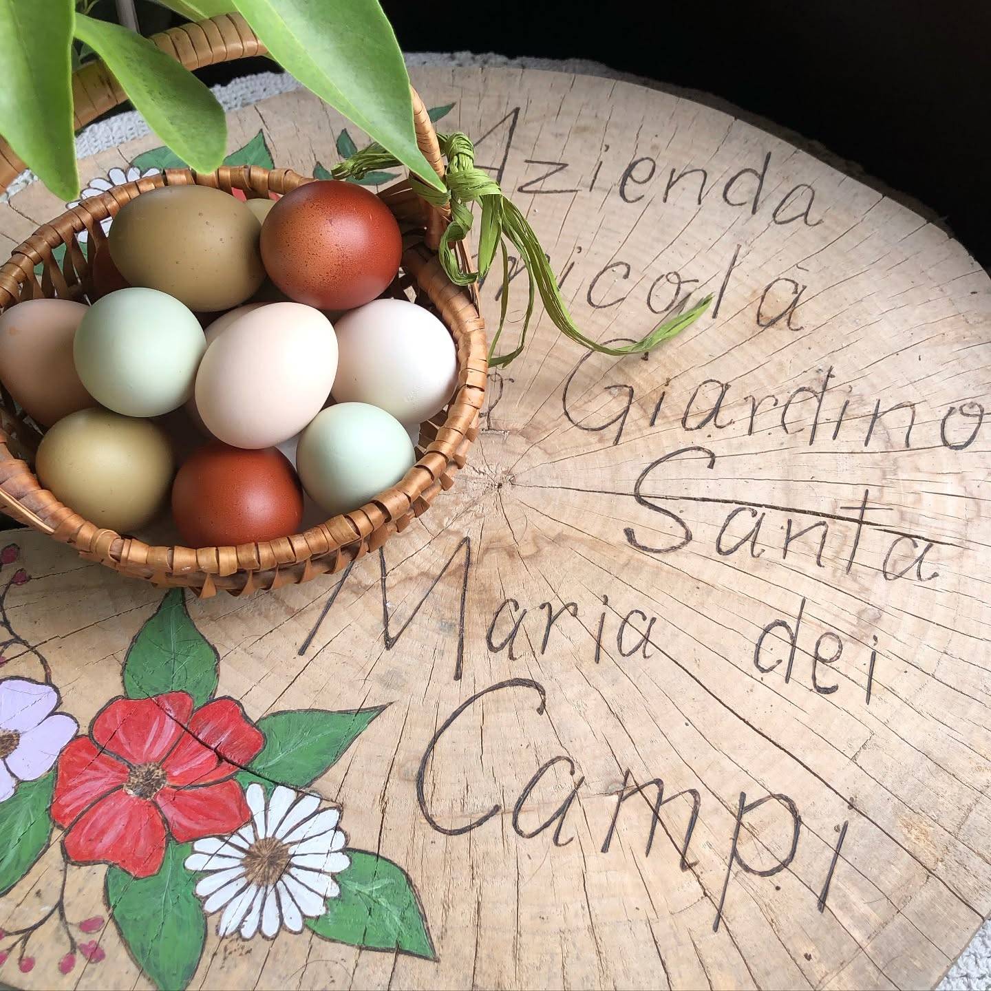 Labirinto di frutti di bosco - Cimone Slow