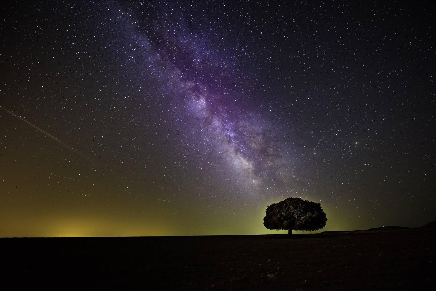Le notti delle stelle cadenti - Modena Slow