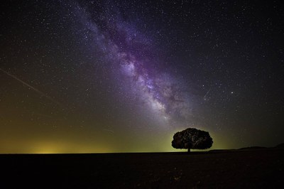 Le notti delle stelle cadenti - Modena Slow