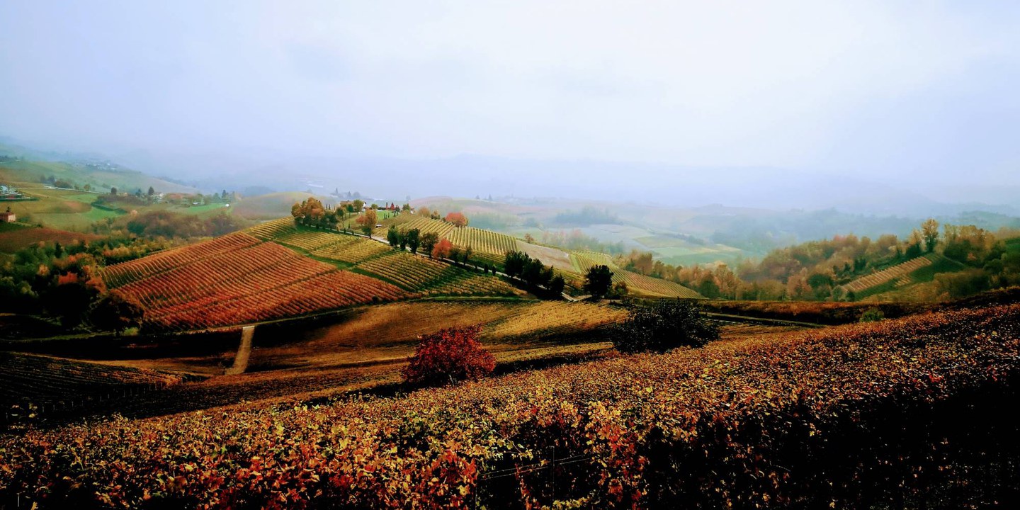 Le Vigne in alta quota a Guiglia - Modena Slow