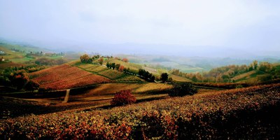 Le Vigne in alta quota a Guiglia - Modena Slow