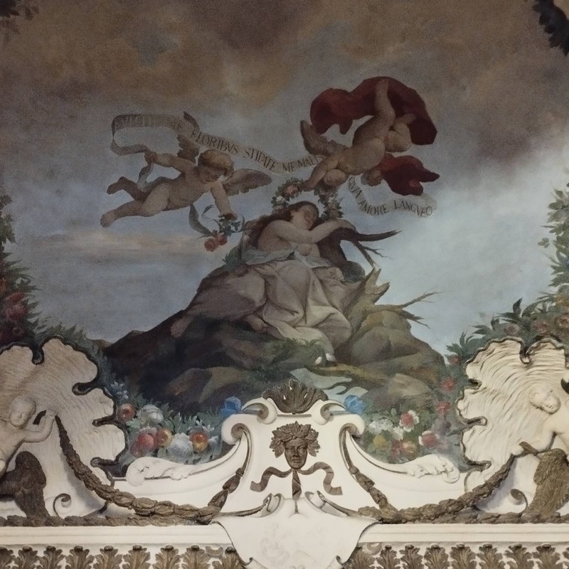 Image Gallery 2