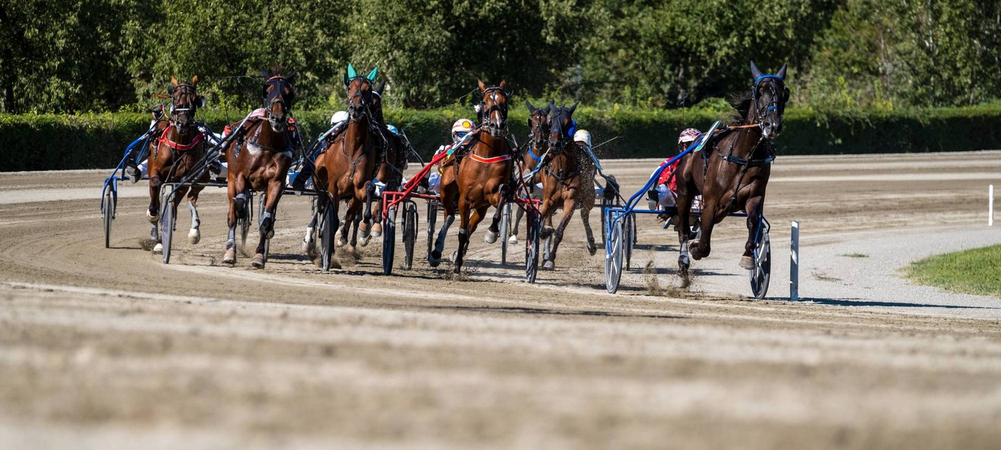 Tour dell'Ippodromo Ghirlandina