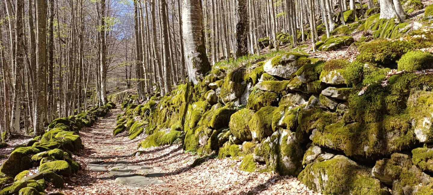Trekking: Antichi borghi e muretti a secco Modena Slow