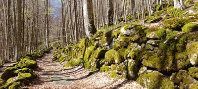 Trekking: Antichi borghi e muretti a secco Modena Slow