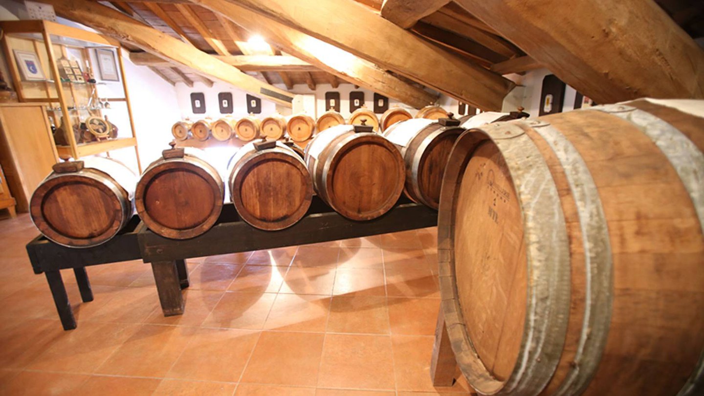 Visita dell'acetaia Comunale di Carpi