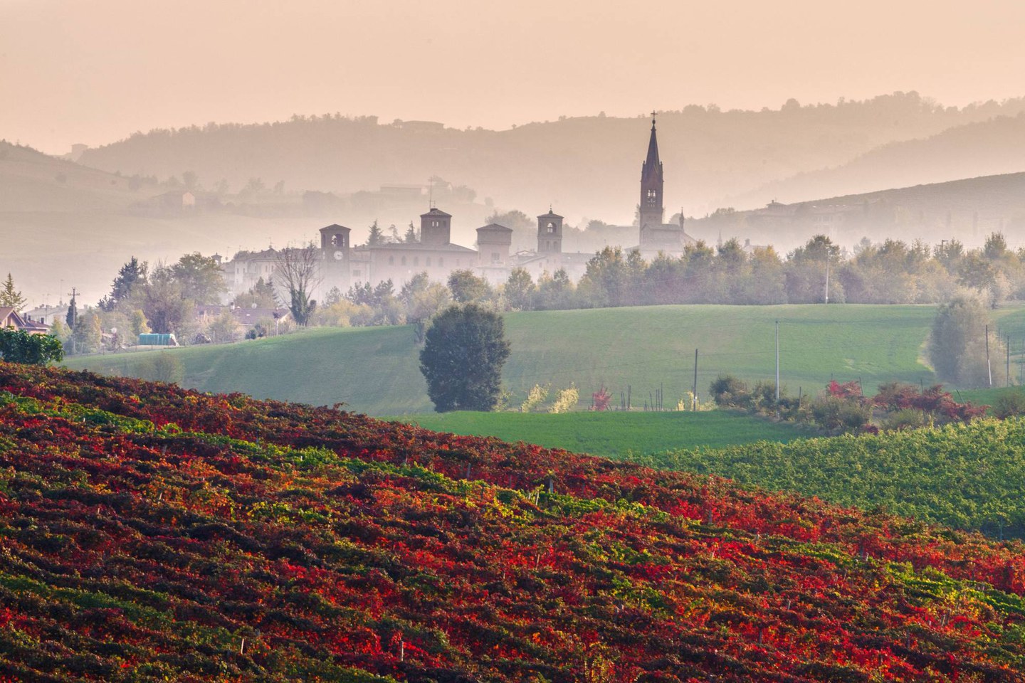 Visita guidata al Palazzo Rangoni con passeggiata nel borgo di Castelvetro con degustazione- Speciale Autunno fuori dal Comune