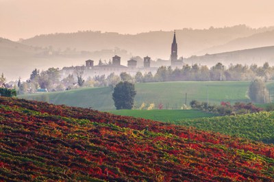 Visita guidata al Palazzo Rangoni con passeggiata nel borgo di Castelvetro con degustazione- Speciale Autunno fuori dal Comune
