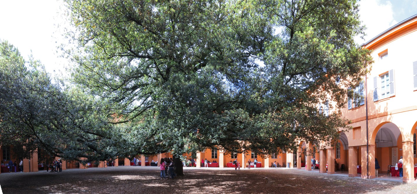 Buk Festival (Modena)