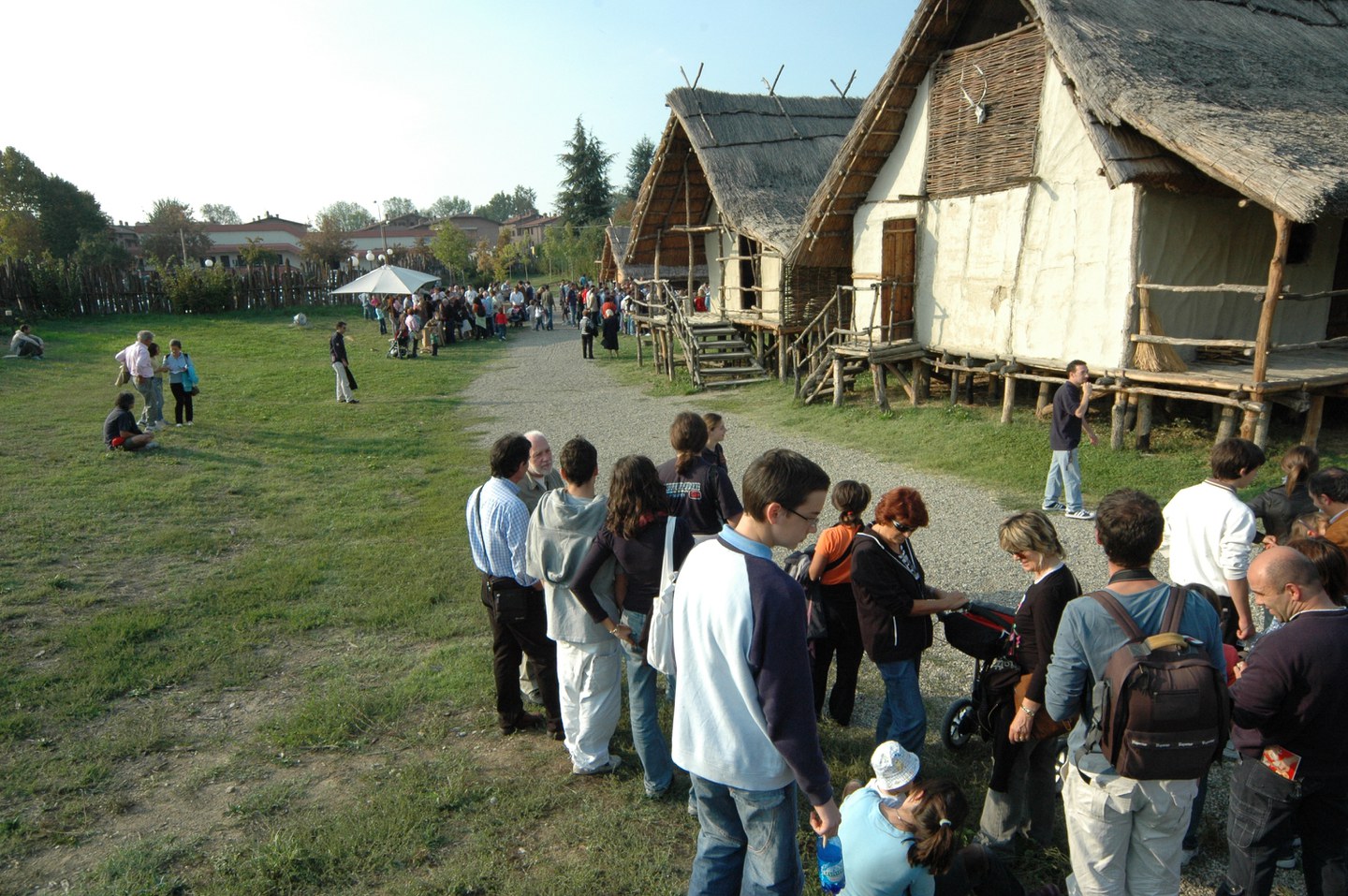 2004 – 2024: i 20 anni del Parco archeologico della Terramara di Montale