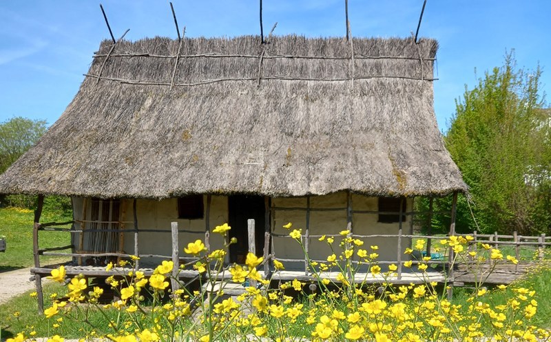 Riapre il Parco della Terramara di Montale